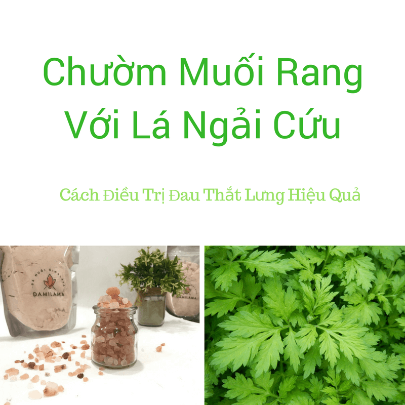 Cách Điều Trị Đau Thắt Lưng Hiệu Quả 3 2020