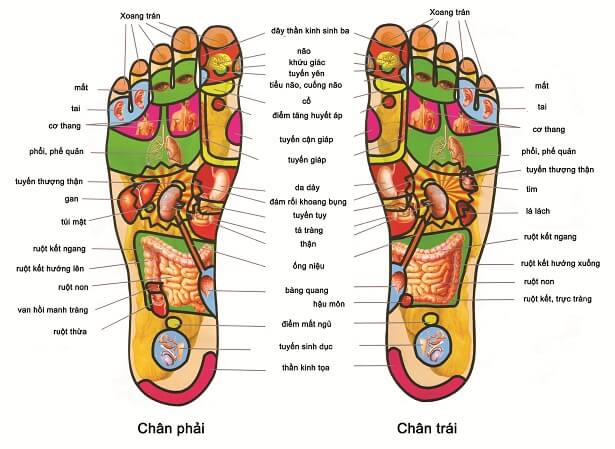 Đá Muối Himalaya Giảm "Ùn Tắc" Hệ Thống Tuần Hoàn 5 2020