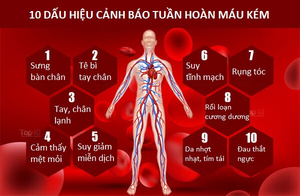 Photo of Đá Muối Himalaya Giảm “Ùn Tắc” Hệ Thống Tuần Hoàn
