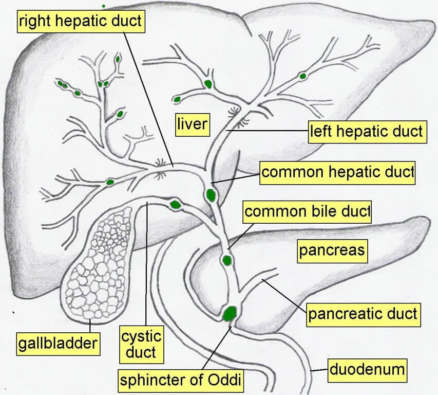 Photo of Bí Quyết Giảm Tắc Nghẽn Mật Nhờ Muối Hồng