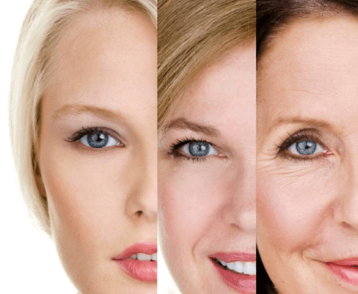 Mechanism of Preventing Skin Aging from Himalayan Pink Salt 1 2020