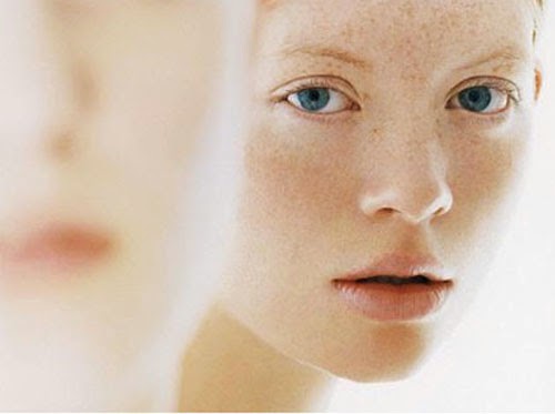 Mechanism of Preventing Skin Aging from Himalayan Pink Salt 4 2020