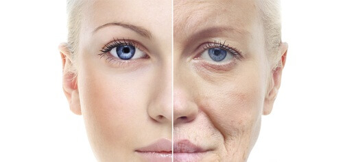 Mechanism of Preventing Skin Aging from Himalayan Pink Salts 6 2020