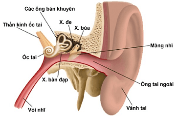 Tìm Hiểu Nguyên Nhân Và Mẹo Trị Ù Tai Hiệu Quả 1 2020