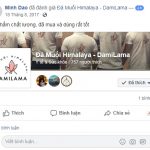 DAMILAMA – Đá Muối Khoáng Himalaya 100% Nguyên Chất Nhập Khẩu Trực Tiếp Từ Pakistan (Không Qua Trung Gian) 64 2020