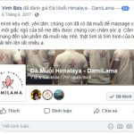 DAMILAMA – Đá Muối Khoáng Himalaya 100% Nguyên Chất Nhập Khẩu Trực Tiếp Từ Pakistan (Không Qua Trung Gian) 61 2020