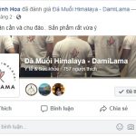 DAMILAMA – Đá Muối Khoáng Himalaya 100% Nguyên Chất Nhập Khẩu Trực Tiếp Từ Pakistan (Không Qua Trung Gian) 58 2020