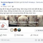 DAMILAMA – Đá Muối Khoáng Himalaya 100% Nguyên Chất Nhập Khẩu Trực Tiếp Từ Pakistan (Không Qua Trung Gian) 57 2020