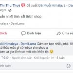DAMILAMA – Đá Muối Khoáng Himalaya 100% Nguyên Chất Nhập Khẩu Trực Tiếp Từ Pakistan (Không Qua Trung Gian) 55 2020