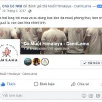 DAMILAMA – Đá Muối Khoáng Himalaya 100% Nguyên Chất Nhập Khẩu Trực Tiếp Từ Pakistan (Không Qua Trung Gian) 49 2020