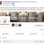 DAMILAMA – Đá Muối Khoáng Himalaya 100% Nguyên Chất Nhập Khẩu Trực Tiếp Từ Pakistan (Không Qua Trung Gian) 51 2020