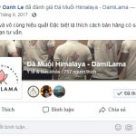 DAMILAMA – Đá Muối Khoáng Himalaya 100% Nguyên Chất Nhập Khẩu Trực Tiếp Từ Pakistan (Không Qua Trung Gian) 46 2020
