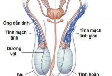 Ảnh của 