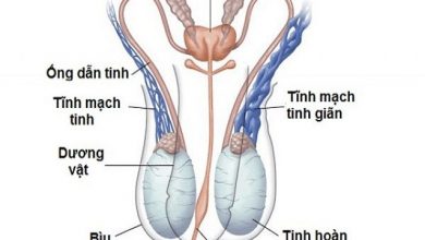 Ảnh của 