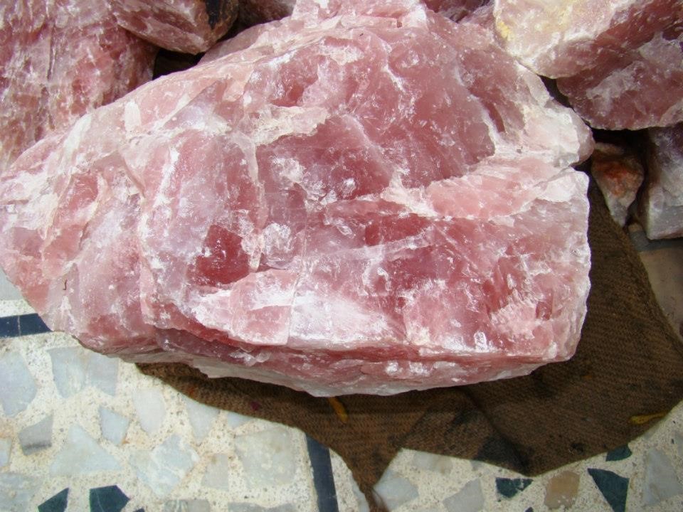 Ảnh của 