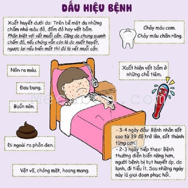 Bệnh sốt xuất huyết ở trẻ là vì sao
