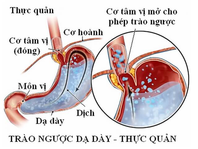 Top 10 Công Dụng Của Mật Ong Đối Với Sức Khỏe 1 2020